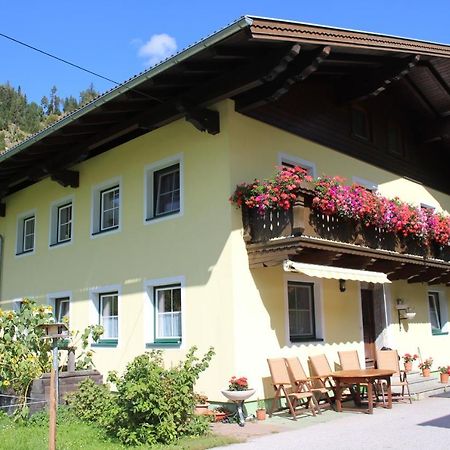 Appartement Gleiminger Forstau  Dış mekan fotoğraf